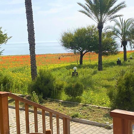 Paradise Karpaz Hotel & Restaurant Rizokarpaso 외부 사진