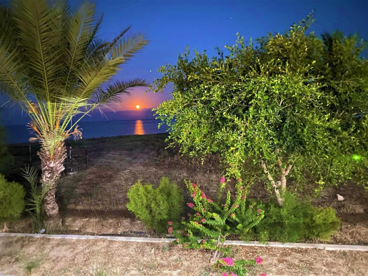 Paradise Karpaz Hotel & Restaurant Rizokarpaso 외부 사진