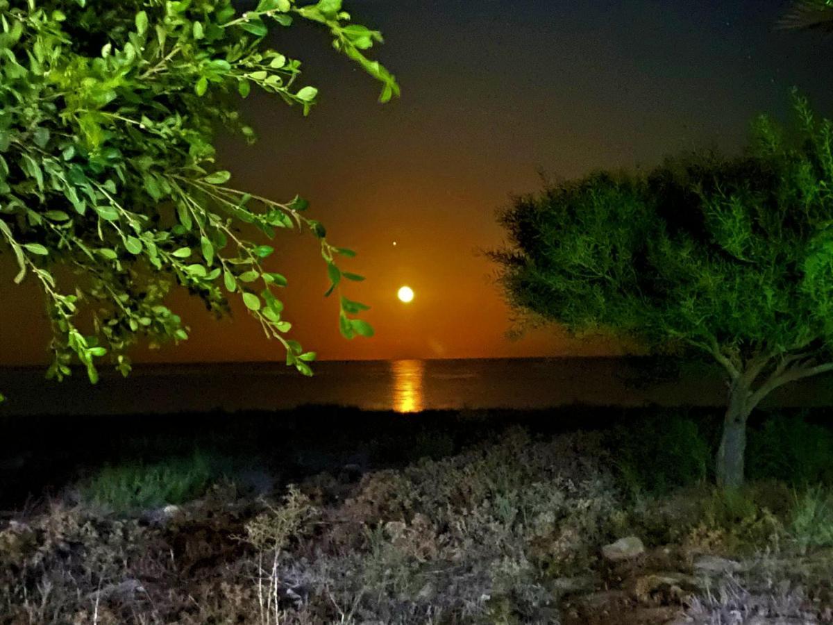 Paradise Karpaz Hotel & Restaurant Rizokarpaso 외부 사진