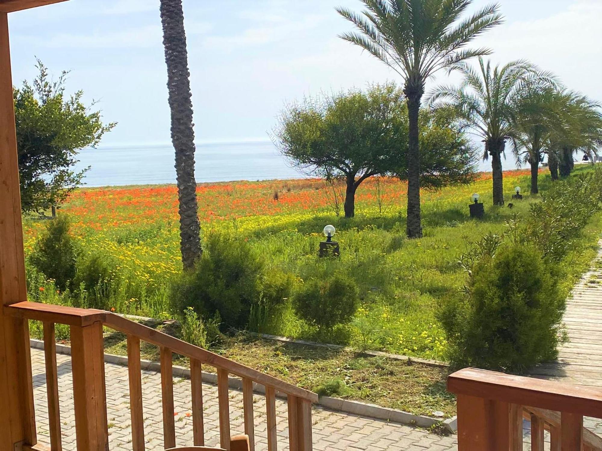Paradise Karpaz Hotel & Restaurant Rizokarpaso 외부 사진